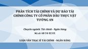 Luận văn ThS: Phân tích tình hình sử dụng vốn tại công ty TNHH Công nghệ ITIM