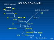Xét nghiệm đánh giá hệ thống đông máu cầm máu