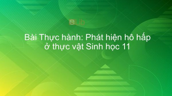 Sinh học 11 Bài 14: Thực hành: Phát hiện hô hấp ở thực vật