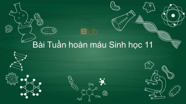 Sinh học 11 Bài 18: Tuần hoàn máu