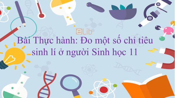 Sinh học 11 Bài 21: Thực hành: Đo một số chỉ tiêu sinh lí ở người