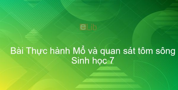 Sinh học 7 Bài 23: Thực hành Mổ và quan sát tôm sông