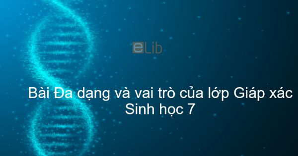 Sinh học 7 Bài 24: Đa dạng và vai trò của lớp Giáp xác