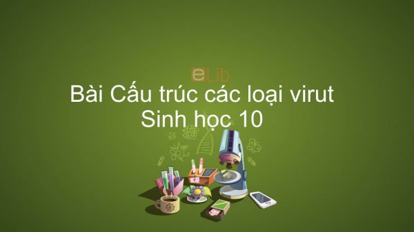 Sinh học 10 Bài 29: Cấu trúc các loại virut