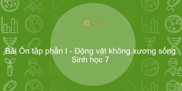 Sinh học 7 Bài 30: Ôn tập phần I - Động vật không xương sống