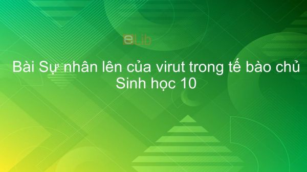 Sinh học 10 Bài 30: Sự nhân lên của virut trong tế bào chủ