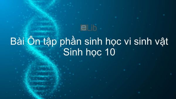 Sinh học 10 Bài 33: Ôn tập phần sinh học vi sinh vật