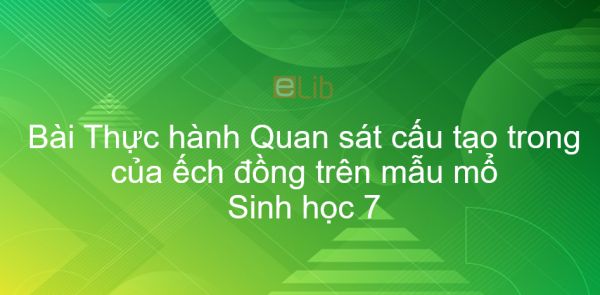 Sinh học 7 Bài 36: Thực hành Quan sát cấu tạo trong của ếch đồng trên mẫu mổ