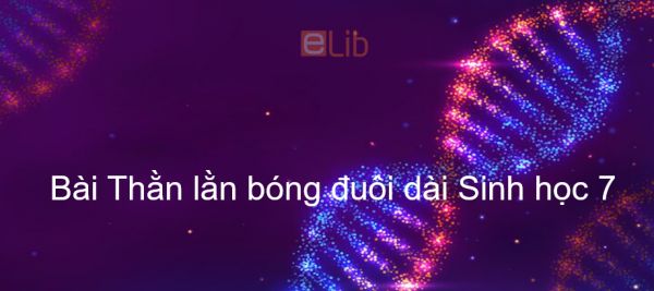 Sinh học 7 Bài 38: Thằn lằn bóng đuôi dài