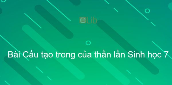 Sinh học 7 Bài 39: Cấu tạo trong của thằn lằn