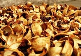 Đại phúc bì - Điều trị bệnh phù toàn thân