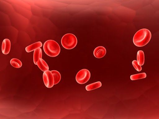 Độ thẩm thấu máu: ý nghĩa lâm sàng chỉ số xét nghiệm