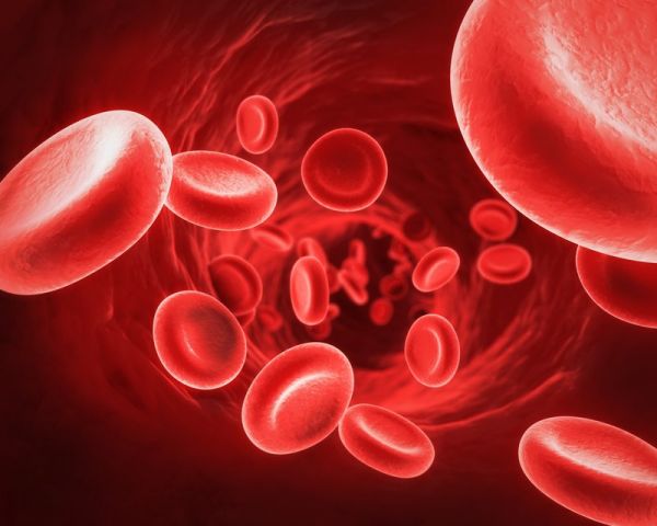 Dòng hồng cầu tế bào máu: số lượng và ý nghĩa lâm sàng