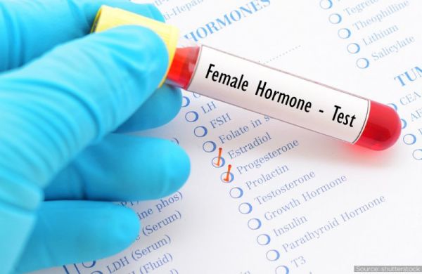 Estrogen: ý nghĩa lâm sàng chỉ số xét nghiệm