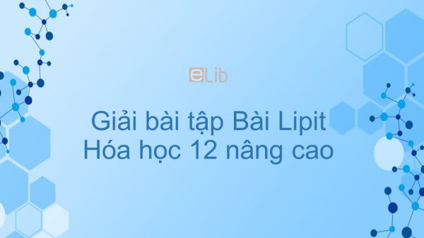 Giải bài tập SGK Hóa 12 Nâng cao Bài 2: Lipit