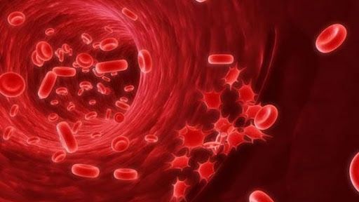 Hồng cầu máu: ý nghĩa lâm sàng chỉ số xét nghiệm