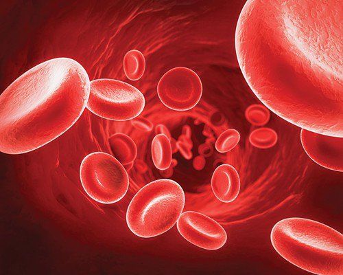 Kali (K) máu: ý nghĩa lâm sàng kết quả xét nghiệm