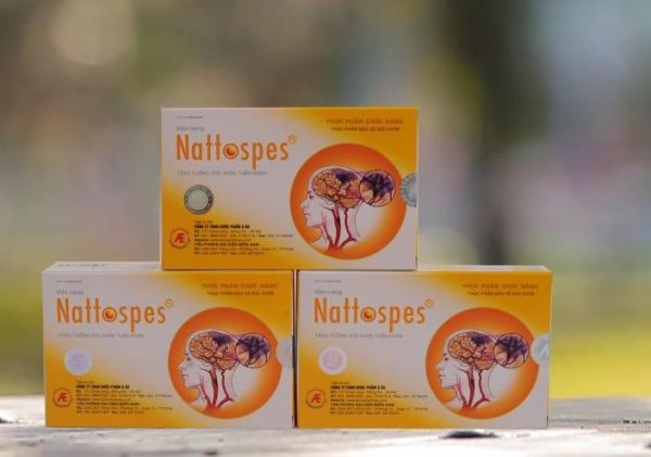 Thuốc Nattospes - Điều trị tai biến mạch máu não