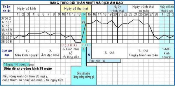 Nhiệt độ cơ thể ngày rụng trứng và kế hoạch hóa gia đình