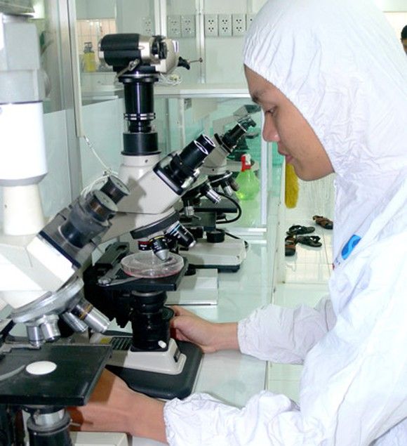 Phản hồi sinh học trong y học