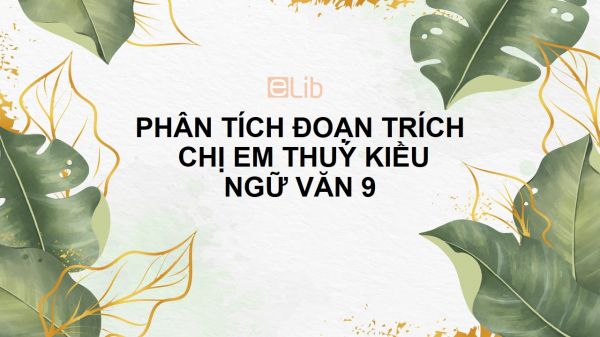 Phân tích đoạn trích Chị em Thúy Kiều của Nguyễn Du