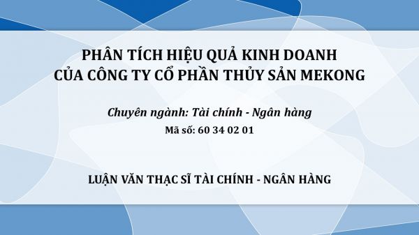 Luận văn ThS: Phân tích hiệu quả kinh doanh của Công ty cổ phần Thủy sản Mekong