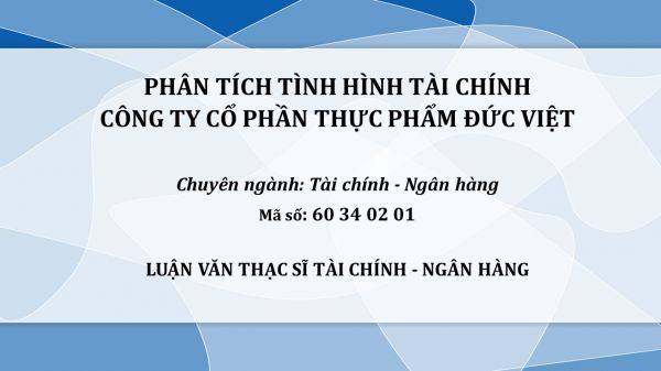 Luận văn ThS: Phân tích tình hình tài chính công ty cổ phần thực phẩm Đức Việt