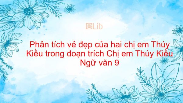 Phân tích vẻ đẹp của hai chị em Thúy Kiều trong đoạn trích Chị em Thúy Kiều của Nguyễn Du