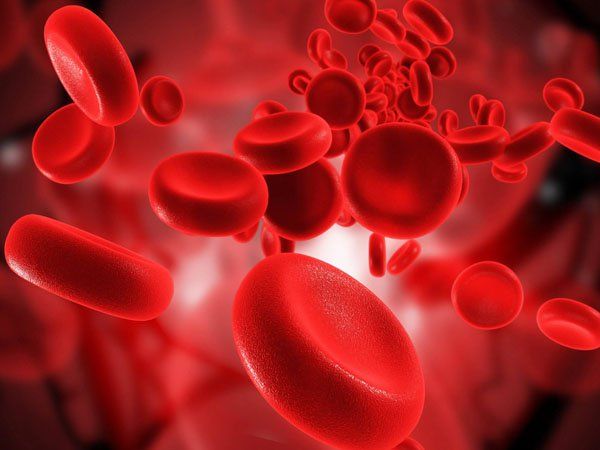 Phốt phát máu: ý nghĩa lâm sàng kết quả xét nghiệm