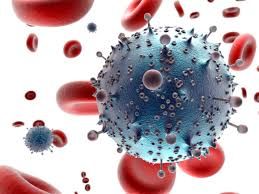 Virus suy giảm miễn dịch ở người (HIV): ý nghĩa lâm sàng kết quả xét nghiệm