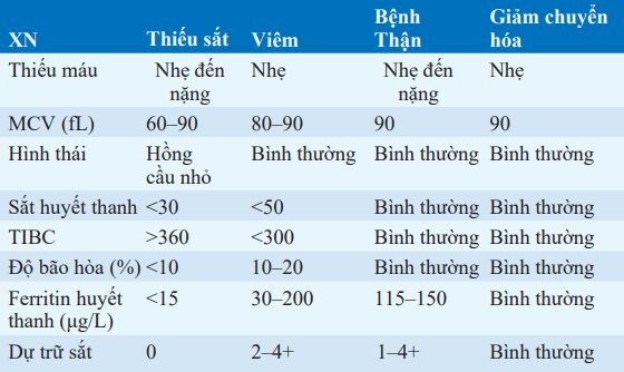 Xét nghiệm Ferritin chẩn đoán thiếu máu thiếu sắt