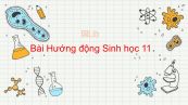 Sinh học 11 Bài 23: Hướng động