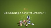 Sinh học 11 Bài 26: Cảm ứng ở động vật