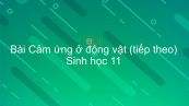 Sinh học 11 Bài 27: Cảm ứng ở động vật (tiếp theo)