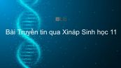Sinh học 11 Bài 30: Truyền tin qua Xináp