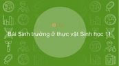 Sinh học 11 Bài 34: Sinh trưởng ở thực vật