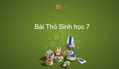 Sinh học 7 Bài 46: Thỏ
