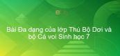 Sinh học 7 Bài 49: Đa dạng của lớp Thú Bộ Dơi và bộ Cá voi