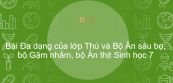 Sinh học 7 Bài 50: Đa dạng của lớp Thú và Bộ Ăn sâu bọ, bộ Gặm nhấm, bộ Ăn thịt