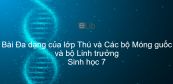 Sinh học 7 Bài 51: Đa dạng của lớp Thú và Các bộ Móng guốc và bộ Linh trưởng