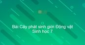 Sinh học 7 Bài 56: Cây phát sinh giới Động vật