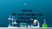 Giải bài tập SBT Hóa 11 Bài 39: Dẫn xuất halogen của hiđrocacbon