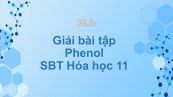 Giải bài tập SBT Hóa 11 Bài 41: Phenol