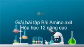 Giải bài tập SGK Hóa 12 Nâng cao Bài 12: Amino axit