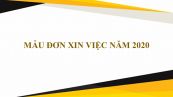 Mẫu Đơn xin việc chuẩn thu hút nhà tuyển dụng năm 2020