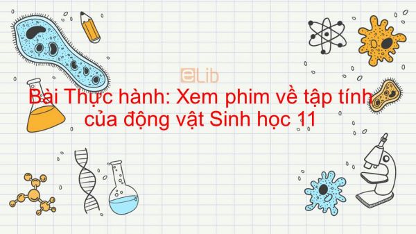 Sinh học 11 Bài 33: Thực hành: Xem phim về tập tính của động vật