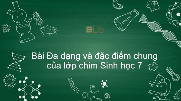 Sinh học 7 Bài 44: Đa dạng và đặc điểm chung của lớp chim