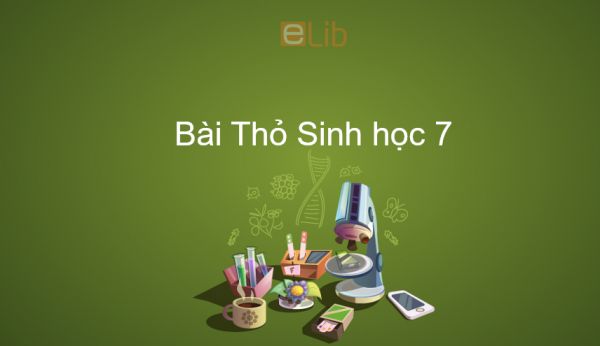 Sinh học 7 Bài 46: Thỏ