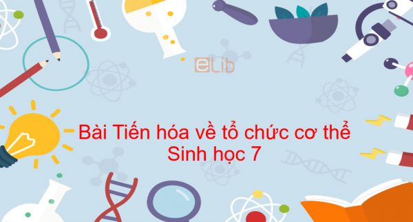 Sinh học 7 Bài 54: Tiến hóa về tổ chức cơ thể