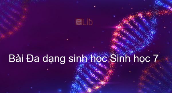 Sinh học 7 Bài 57: Đa dạng sinh học